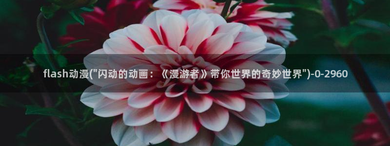 卡通动漫