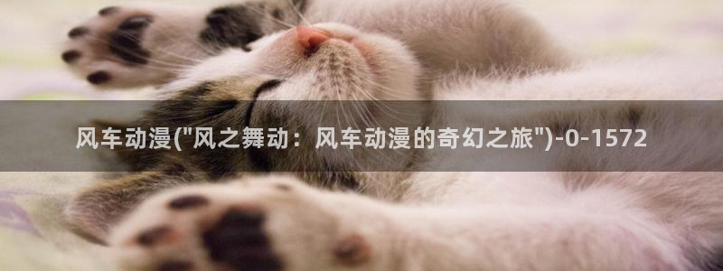曲奇动漫：风车动漫(\