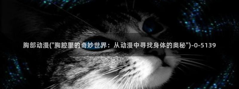 动漫节